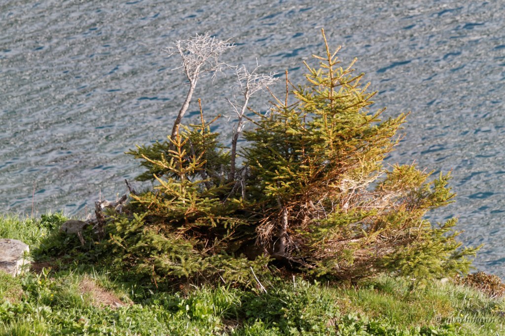 20140531_385